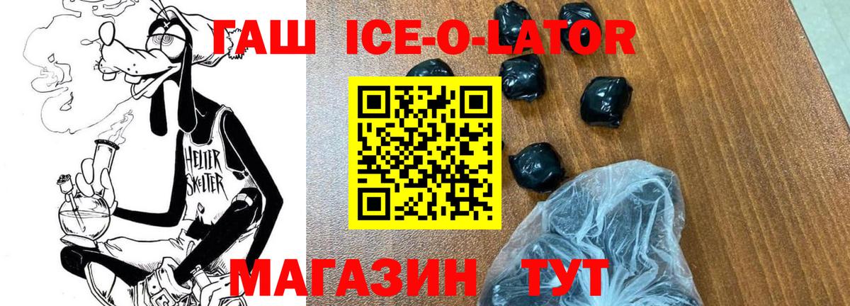 Коряжма  ГАШ Изолятор  Вход с VPN 