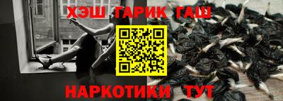 крисы Коммунар