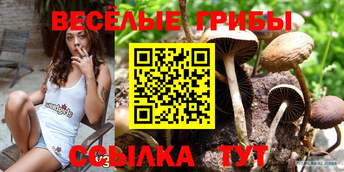 Галлюциногенные грибы мицелий Коряжма
