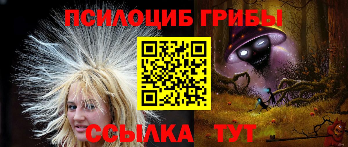 наркотики  Вход с VPN  Коряжма  Псилоцибиновые грибы прущие грибы 